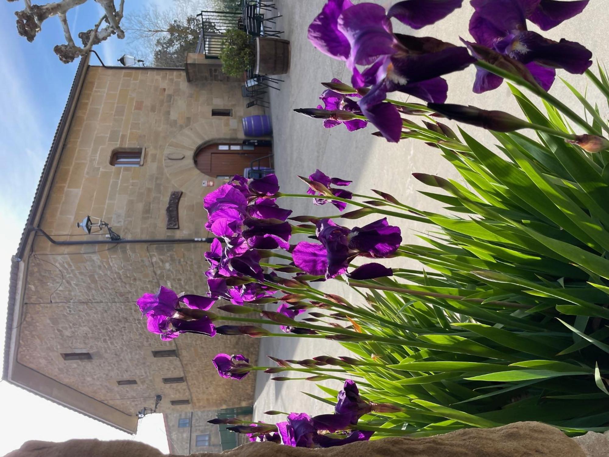 La Posada De Leza La Guardia 外观 照片